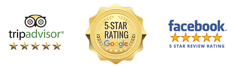 Trip Advisor Google Facebook - 5 star review