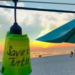save turtles written on cup
